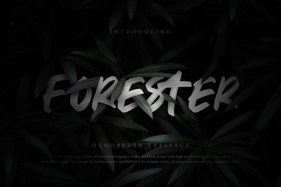 Forester Display Font: A Practical Evaluation for Design Projects