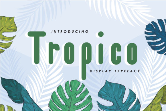 Tropico: The Paint-Brushed Display Font That Brings Character to Your Designs
