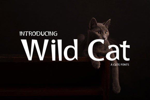 Why Wild Cat is Redefining Bold Typography for the Digital Age
